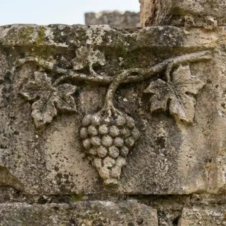 نماد انگور در گنج یابی
