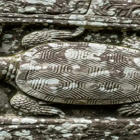 تصویر نماد لاک‌ پشت حکاکی شده روی سنگ تاریخی