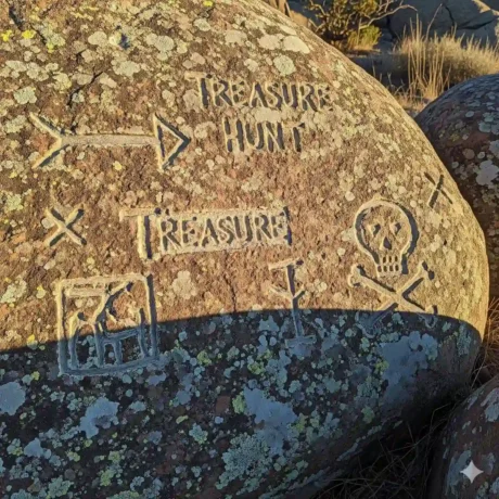 علائم گنج یابی