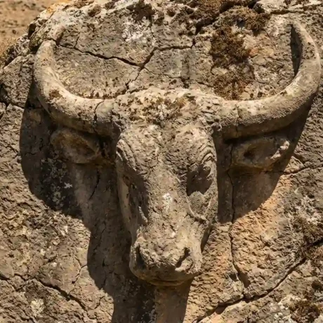 نماد گاو در گنج یابی