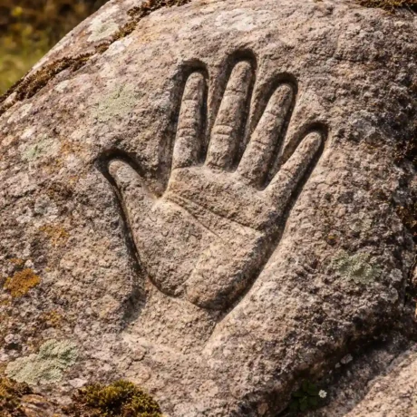 دست در دفینه یابی