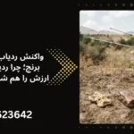 واکنش ردیاب طلا به مس و برنج